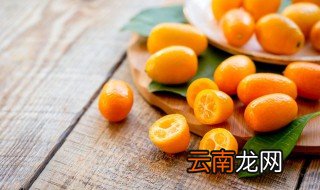 盆栽桔子什么时候开花 盆栽桔子什么时候开花结果