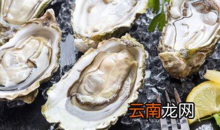 吃了没熟的生蚝怎么办 吃了没熟的生蚝咋办