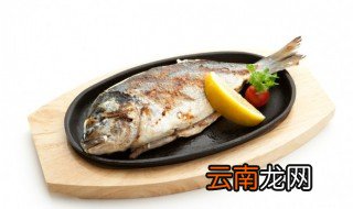 鱼放冰箱里能保存几天冬眠 鱼放冰箱里能保存几天