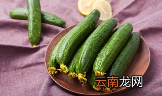 黄瓜放冰箱里能保存几天，黄瓜放冰箱里能保存几天不坏