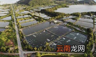陶粒沙怎么才算养熟 陶粒砂怎么养熟