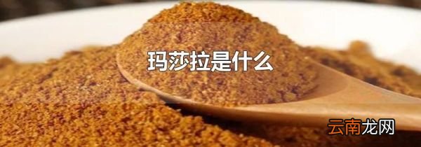 玛莎拉是什么