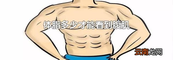 体脂多少才能看到腹肌