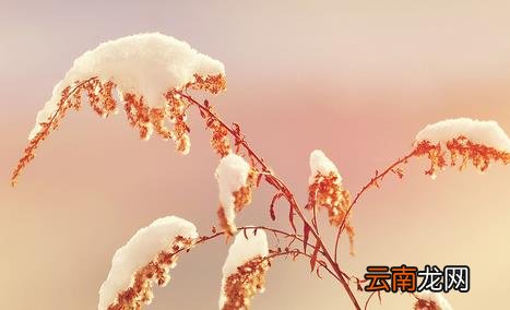 2018朋友圈立冬心情图分享 非常适合发朋友圈