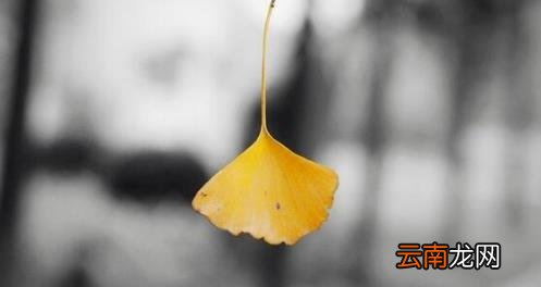 2018朋友圈立冬心情图分享 非常适合发朋友圈
