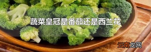 蔬菜皇冠是番茄还是西兰花