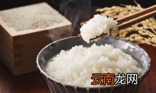 大米饭放冰箱里能保存几天 大米饭放冰箱里能保存几天不坏