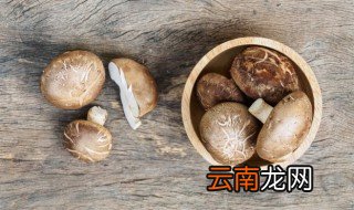 香菇放冰箱里能保存几天 香菇放冰箱能保存多久