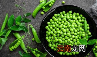 豌豆如何种植产量高，豌豆产量高吗