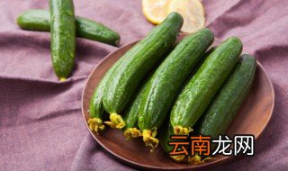 拍黄瓜放冰箱里能保存几天，黄瓜可以放几天冰箱