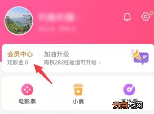 淘票票怎么退票