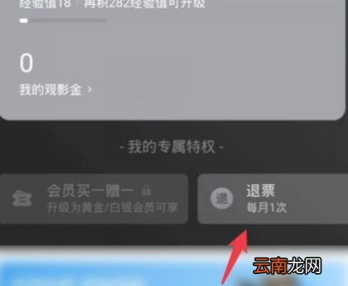 淘票票怎么退票