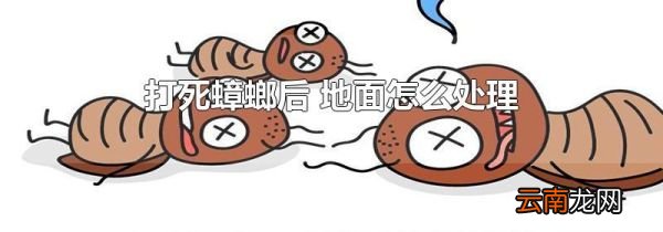 打死蟑螂后 地面怎么处理