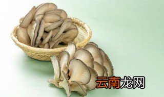 蘑菇在冰箱能保存几天 蘑菇放冰箱里能保存几天