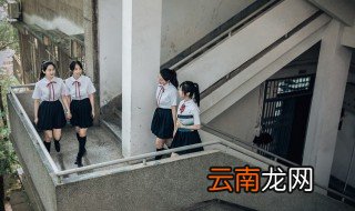 分类别的句子 分类别的句子示例