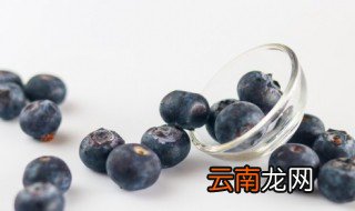 奥尼尔蓝莓什么时候开花结果 蓝莓什么时候开花结果