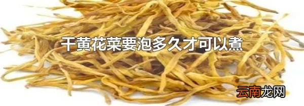 干黄花菜要泡多久才可以煮
