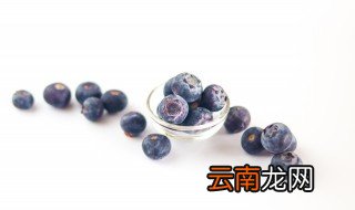 蓝莓放冰箱保鲜还是常温保存 蓝莓常温放还是冷藏保存