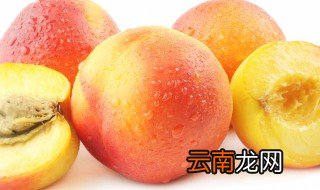 桃子放冰箱里能保存几天 桃子放冰箱里能保存多久