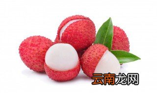 荔枝树种植条件 荔枝树的种植条件