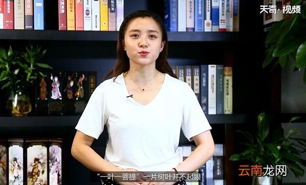 一花一世界一叶一菩提是什么意思
