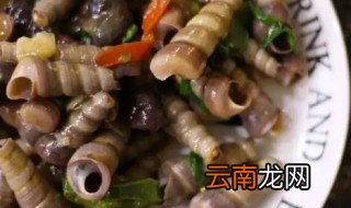 海螺在冰箱里能储藏多长时间 丁螺能放冰箱里保存几天