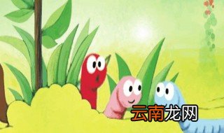 怎么养蚯蚓方法最简单 怎么养殖蚯蚓