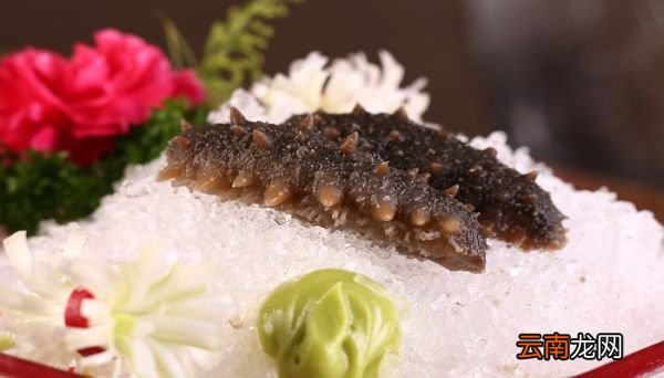 海参不适合什么人吃 海参的食用禁忌