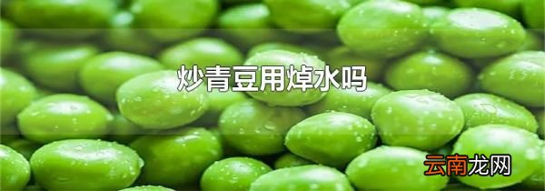 炒青豆用焯水吗