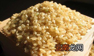 糙米能放冰箱保鲜吗 糙米放冰箱里能保存几天