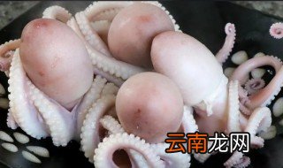 冰鲜八爪鱼放冰箱里能保存几天