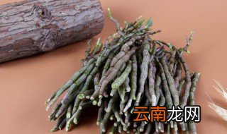 铁皮石斛什么时候开花，铁皮石斛什么时候开花有叶子