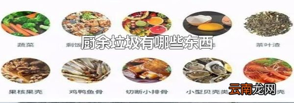 厨余垃圾有哪些东西