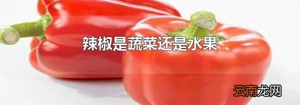 辣椒是蔬菜还是水果