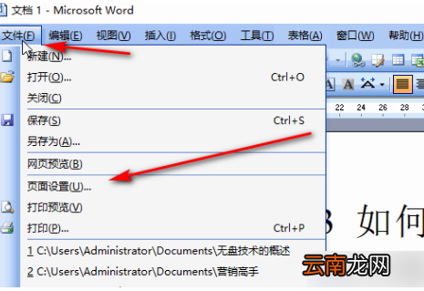 word2003页面布局在哪里