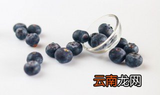 蓝莓树开花时间 蓝莓树什么时候开花