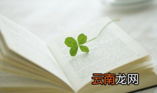 柏读音 柏怎么读