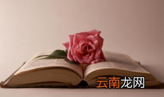 熊取名字男孩 熊取名字男孩有什么