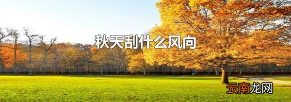 秋天刮什么风向