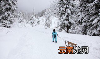 形容下雪的句子 如何形容下雪