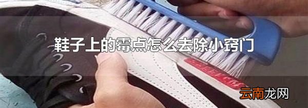 鞋子上的霉点怎么去除小窍门