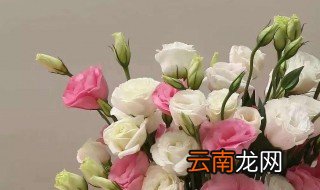 洋桔梗什么时候开花一年开几次花 洋桔梗什么时候开花