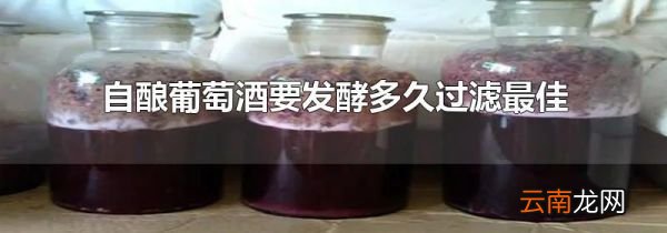 自酿葡萄酒要发酵多久过滤最佳