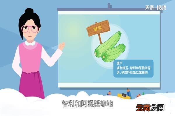 北瓜是什么 北瓜有哪几个品种