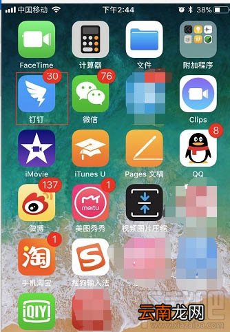 钉钉怎么提交工作日志？钉钉提交工作日报的教程