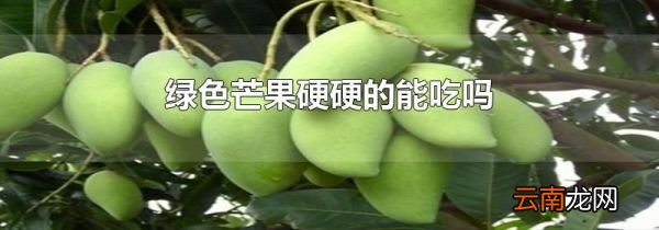 绿色芒果硬硬的能吃吗