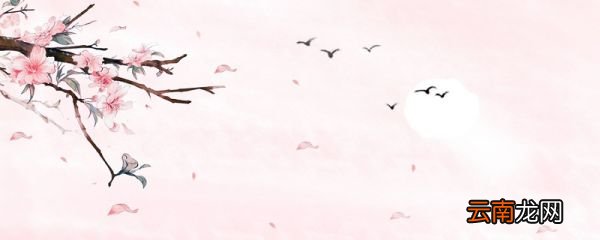 春天有什么花开 春天盛开的花有哪些