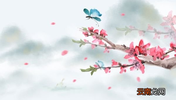 春天有什么花开 春天盛开的花有哪些