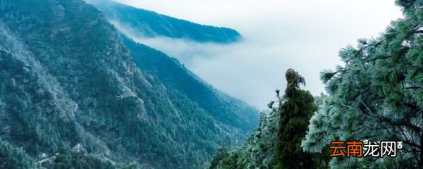 庐山在哪个省的城市 庐山在哪个省