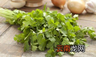 香菜怎样储存 怎样存放香菜